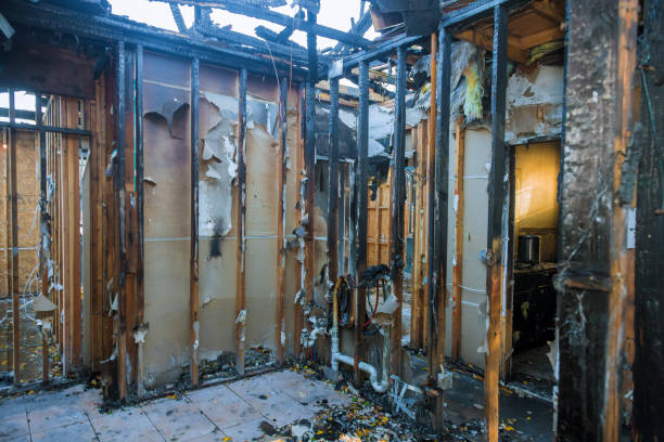 Professional Odor Removal technician working in Waterloo, IL